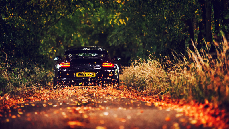 Illustration for article titled #cddcphotocontest FALLow up. FALL!!!!!!